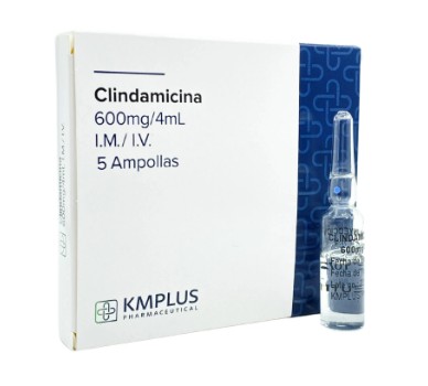 CLINDAMICINA AMP 600 MG / 4 ML X 1 KMPLUS