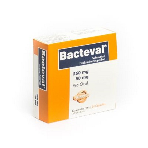 BACTEVAL 250MG X 24 CAP VALMORCA