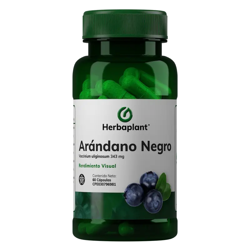 ARANDANO NEGRO 343 MG X 30 CAP HERBAPLANT