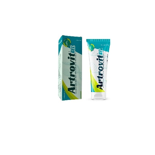 ARTROVIT GEL X 120 GR NATURLIFES