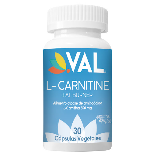 VAL L CARNITINE 500 MG X 30 CAP