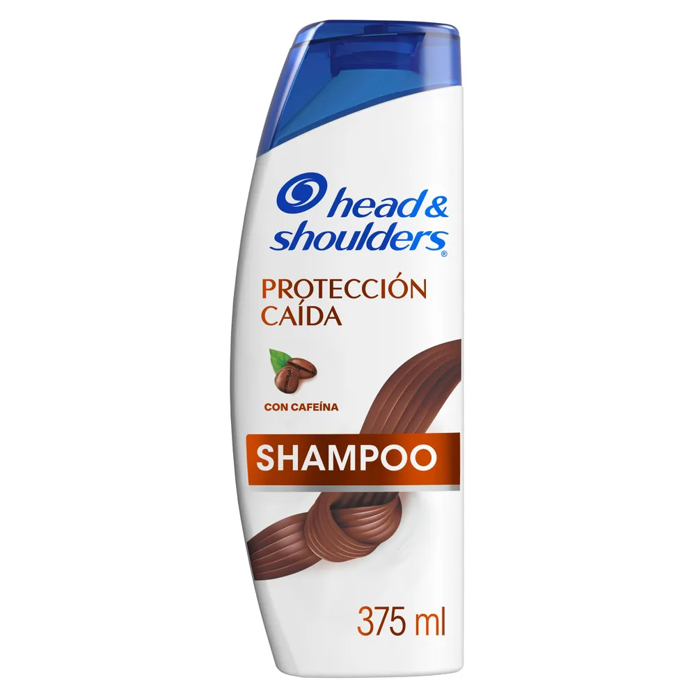 CHAMPU HEAD & SHOULDERS PROTECION CAIDA X 375 ML