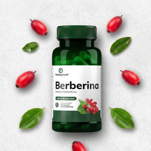 BERBERINA 500 MG X 60 CAP  HERBAPLANT