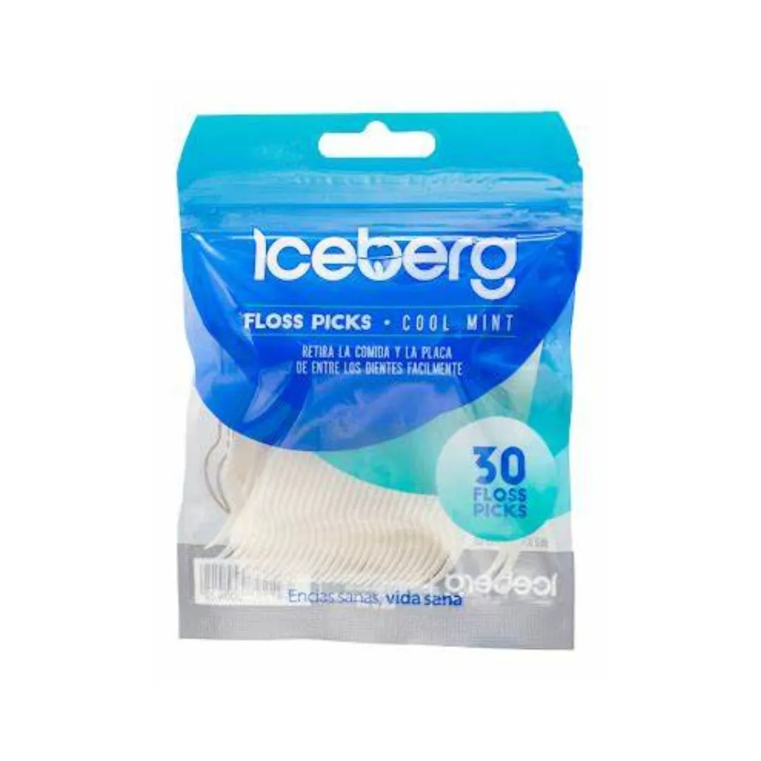 HILO DENTAL FLOSS PICKS X 30